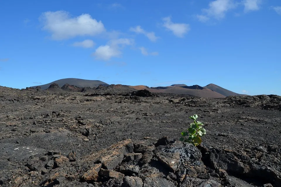 Kryptowährungen im Aufwind: XRP, Bitcoin und Ethereum vor Neubeginn
