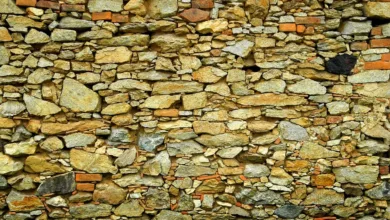 Ethereum als neue Finanzarchitektur: Wall Street setzt klar auf die Blockchain