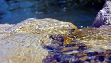 Bitcoin-Kurs fällt unter 70.000 Dollar: Ein Rückblick