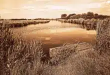 Krypto-Markt im Umbruch: Banken gegen Stablecoin-Renditen