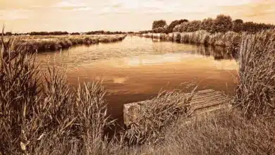 Krypto-Markt im Umbruch: Banken gegen Stablecoin-Renditen