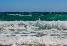 Bitcoin im Absturz: Suchanfragen nach dem Ende steigen