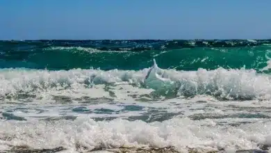 Bitcoin im Absturz: Suchanfragen nach dem Ende steigen