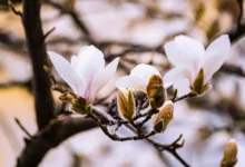 Kryptomarkt stabilisiert sich: Bitcoin zeigt leichte Gewinne