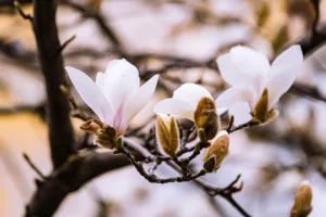 Kryptomarkt stabilisiert sich: Bitcoin zeigt leichte Gewinne