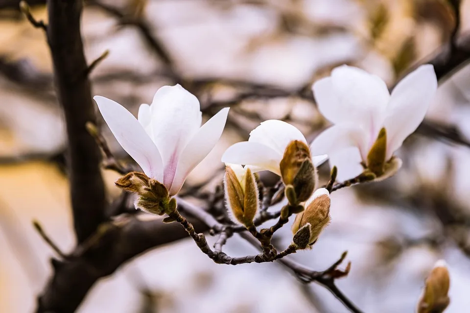 Kryptomarkt stabilisiert sich: Bitcoin zeigt leichte Gewinne