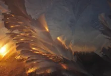 Tether friert 500 Millionen USD bei Glücksspielring in der Türkei ein