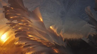 Tether friert 500 Millionen USD bei Glücksspielring in der Türkei ein