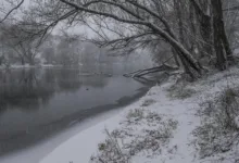 Krypto-Betrug im Januar: Verluste durch Phishing steigen dramatisch