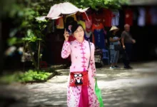 Familienbüros setzen stärker auf traditionelle Anlagen