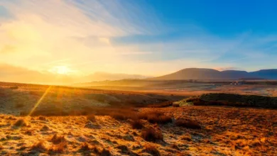 Kryptowährungen unter Druck: Bitcoin fällt unter 69.000 USD