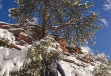 XRP: Chance oder Risiko? Ein tiefer Einblick für Anleger