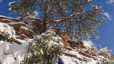 XRP: Chance oder Risiko? Ein tiefer Einblick für Anleger