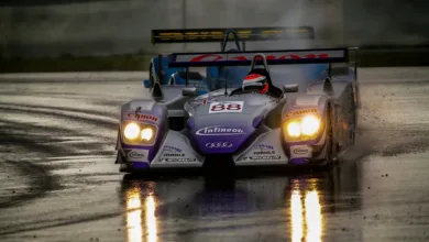 XRP oder Dogecoin: Welches Risiko lohnt sich mehr?