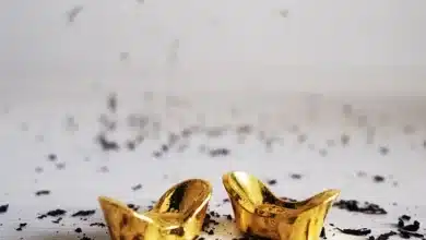 Edelmetalle und digitale Assets: Ein neuer Anlageansatz