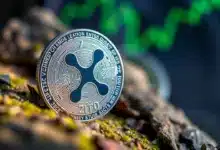 XRP hat eine NVIDIA-Verbindung – aber reicht sie in diesem Zyklus?