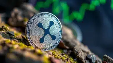 XRP hat eine NVIDIA-Verbindung – aber reicht sie in diesem Zyklus?