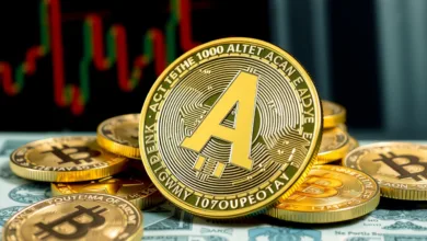 Niemand weiß, wer 18,5 Mio. Dollar in ADA gestohlen hat – auch nicht die Wallet-Firma
