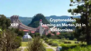 XRP vor entscheidendem Rechtstest in Kalifornien: Überlebt Ripple den 1. Juli?