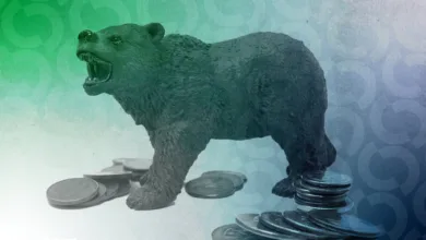 „Bitcoins flachster Bärenmarkt – Ist der Boden erreicht?“