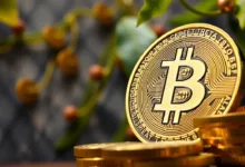 1.000 Dollar in Bitcoin oder S&P 500 im Jahr 2021? Aktien zahlen heute mehr aus