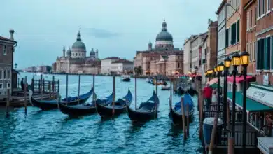 Venice Token legt 10% zu – Wie weit steigt dieser Altcoin?