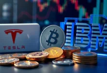 Tesla, Alphabet, IBM berichten heute: Warum zahlen Optionshändler 86% Volatilität?