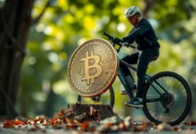 BMX Token bricht um 46% ein nach BitMart-Abwicklung