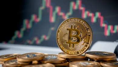 BTC USD erholt sich: Warum steigt der Kryptomarkt heute, 2. Juli?