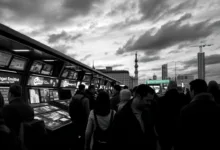 Grayscale: Der Kryptomarkt belohnt eine neue Art von Token