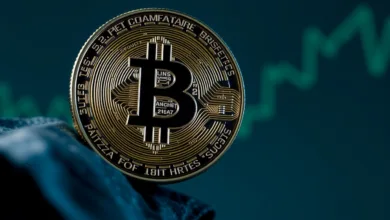 Solanas Meme-Coin Bonk: 20 Millionen Dollar durch Governance-Angriff gestohlen