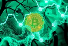 pump.fun : Memecoin-Volumen treibt Solana auf 9,8 Mrd. $